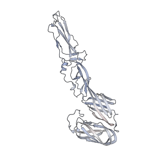 27392_8def_J_v1-1
Cryo-EM Structure of Western Equine Encephalitis Virus VLP in complex with SKW24 fab