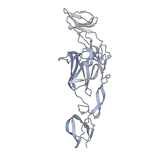 27392_8def_K_v1-1
Cryo-EM Structure of Western Equine Encephalitis Virus VLP in complex with SKW24 fab