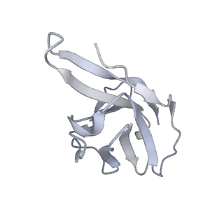 27392_8def_V_v1-1
Cryo-EM Structure of Western Equine Encephalitis Virus VLP in complex with SKW24 fab