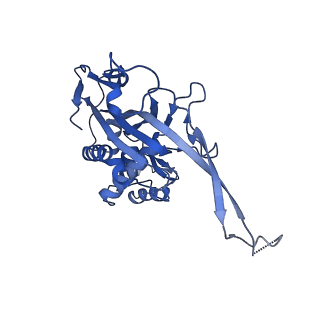 27393_8dej_C_v1-3
D. vulgaris type I-C Cascade bound to dsDNA target