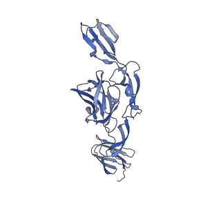 27396_8der_A_v1-0
Cryo-EM local refinement of antibody SKV16 in complex with VEEV alphavirus spike glycoprotein