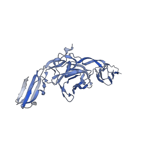 27396_8der_B_v1-0
Cryo-EM local refinement of antibody SKV16 in complex with VEEV alphavirus spike glycoprotein