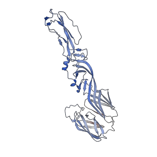 27396_8der_E_v1-0
Cryo-EM local refinement of antibody SKV16 in complex with VEEV alphavirus spike glycoprotein