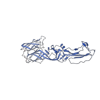27396_8der_G_v1-0
Cryo-EM local refinement of antibody SKV16 in complex with VEEV alphavirus spike glycoprotein