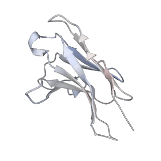 27396_8der_L_v1-0
Cryo-EM local refinement of antibody SKV16 in complex with VEEV alphavirus spike glycoprotein