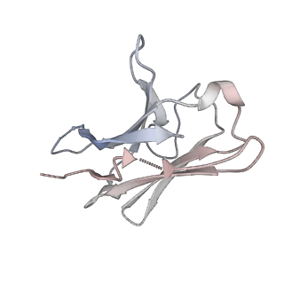 27396_8der_V_v1-0
Cryo-EM local refinement of antibody SKV16 in complex with VEEV alphavirus spike glycoprotein