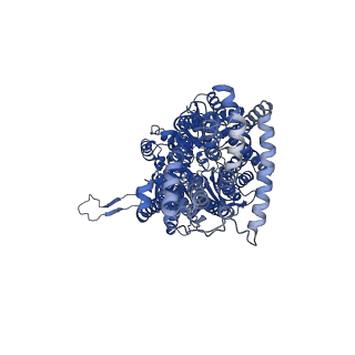27399_8deu_A_v1-2
Cryo-electron microscopy structure of Neisseria gonorrhoeae multidrug efflux pump MtrD with CASP peptide complex