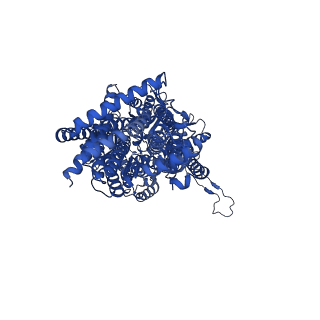 27399_8deu_C_v1-2
Cryo-electron microscopy structure of Neisseria gonorrhoeae multidrug efflux pump MtrD with CASP peptide complex