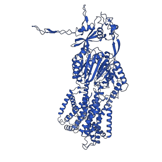 27400_8dev_A_v1-2
Cryo-electron microscopy structure of Neisseria gonorrhoeae multidrug efflux pump MtrD with colistin complex