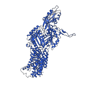 27400_8dev_B_v1-2
Cryo-electron microscopy structure of Neisseria gonorrhoeae multidrug efflux pump MtrD with colistin complex