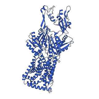 27400_8dev_C_v1-2
Cryo-electron microscopy structure of Neisseria gonorrhoeae multidrug efflux pump MtrD with colistin complex