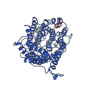 30657_7deg_A_v1-0
Cryo-EM structure of a heme-copper terminal oxidase dimer provides insights into its catalytic mechanism