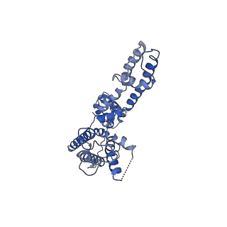 25417_8dfl_A_v1-0
Structure of human Kv1.3 with A0194009G09 nanobodies (alternate conformation)