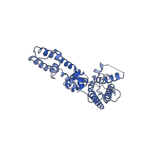 25417_8dfl_B_v1-0
Structure of human Kv1.3 with A0194009G09 nanobodies (alternate conformation)