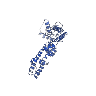 25417_8dfl_C_v1-0
Structure of human Kv1.3 with A0194009G09 nanobodies (alternate conformation)
