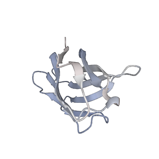 25417_8dfl_E_v1-0
Structure of human Kv1.3 with A0194009G09 nanobodies (alternate conformation)