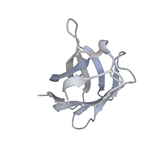 25417_8dfl_F_v1-0
Structure of human Kv1.3 with A0194009G09 nanobodies (alternate conformation)