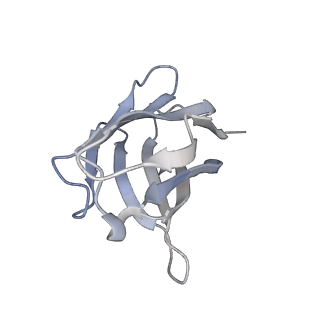 25417_8dfl_H_v1-0
Structure of human Kv1.3 with A0194009G09 nanobodies (alternate conformation)
