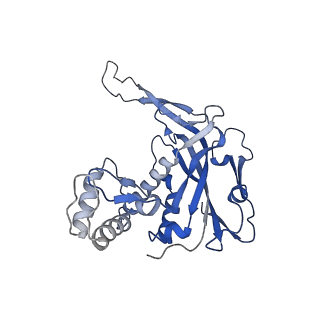 27403_8dfa_E_v1-3
type I-C Cascade bound to ssDNA target
