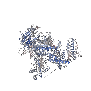 27415_8dfv_A_v1-0
Structural Basis of MicroRNA Biogenesis by Dicer-1 and Its Partner Protein Loqs-PB - complex IIa