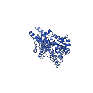 30579_7dfv_A_v1-0
Cryo-EM structure of plant NLR RPP1 tetramer core part