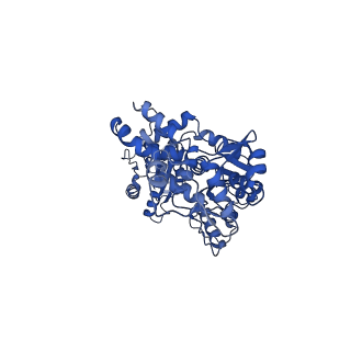 30579_7dfv_A_v1-1
Cryo-EM structure of plant NLR RPP1 tetramer core part