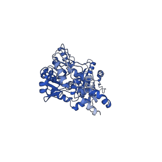 30579_7dfv_C_v1-1
Cryo-EM structure of plant NLR RPP1 tetramer core part