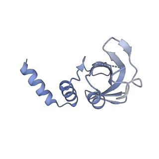 30663_7dfg_G_v1-0
Structure of COVID-19 RNA-dependent RNA polymerase bound to favipiravir
