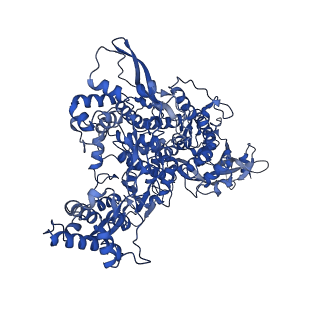 30664_7dfh_A_v1-0
Structure of COVID-19 RNA-dependent RNA polymerase bound to ribavirin