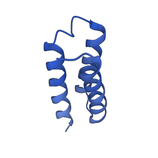 30664_7dfh_C_v1-0
Structure of COVID-19 RNA-dependent RNA polymerase bound to ribavirin
