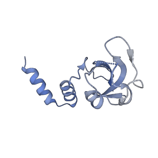 30664_7dfh_G_v1-0
Structure of COVID-19 RNA-dependent RNA polymerase bound to ribavirin