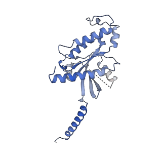 30665_7dfl_A_v1-2
Cryo-EM structure of histamine H1 receptor Gq complex
