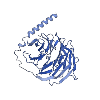 30665_7dfl_B_v1-2
Cryo-EM structure of histamine H1 receptor Gq complex