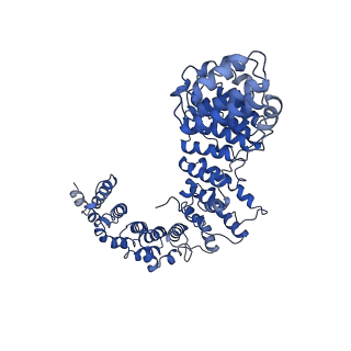 7455_6dff_B_v1-2
Structure of the cargo bound AP-1:Arf1:tetherin-Nef monomer