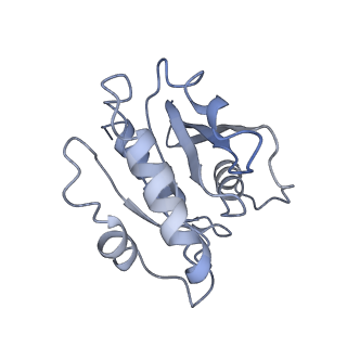 7455_6dff_C_v1-2
Structure of the cargo bound AP-1:Arf1:tetherin-Nef monomer