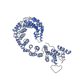 7455_6dff_G_v1-2
Structure of the cargo bound AP-1:Arf1:tetherin-Nef monomer