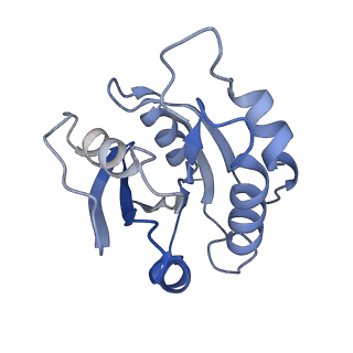7455_6dff_H_v1-1
Structure of the cargo bound AP-1:Arf1:tetherin-Nef monomer