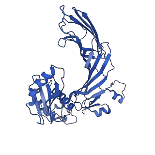 7455_6dff_M_v1-1
Structure of the cargo bound AP-1:Arf1:tetherin-Nef monomer