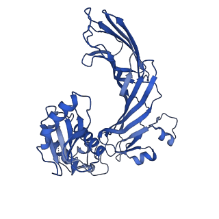 7455_6dff_M_v1-2
Structure of the cargo bound AP-1:Arf1:tetherin-Nef monomer