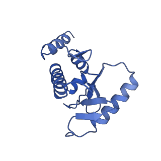 7455_6dff_S_v1-1
Structure of the cargo bound AP-1:Arf1:tetherin-Nef monomer