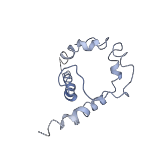 7875_6dfg_B_v1-2
BG505 MD39 SOSIP trimer in complex with mature BG18 fragment antigen binding