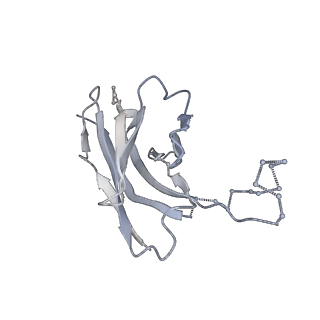 7875_6dfg_G_v1-2
BG505 MD39 SOSIP trimer in complex with mature BG18 fragment antigen binding