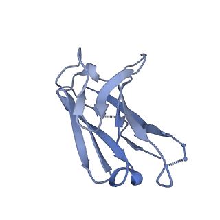 7876_6dfh_J_v1-2
BG505 MD64 N332-GT2 SOSIP trimer in complex with germline-reverted BG18 fragment antigen binding