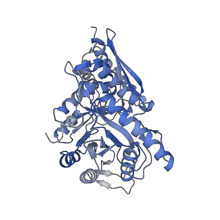27407_8dg4_F_v1-1
Group A streptococcus Enolase K252A, K255A, K434A, K435A mutant