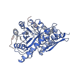 27407_8dg4_H_v1-1
Group A streptococcus Enolase K252A, K255A, K434A, K435A mutant