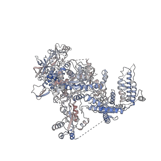 27416_8dg5_A_v1-0
Structural Basis of MicroRNA Biogenesis by Dicer-1 and Its Partner Protein Loqs-PB - complex IIb