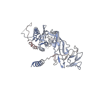 27418_8dg8_A_v1-0
Cryo-EM Structure of HPIV3 prefusion F trimer in complex with 3x1 Fab