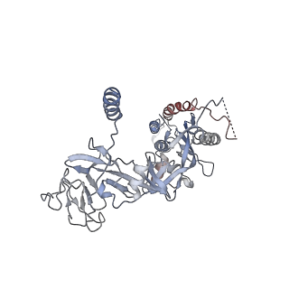 27418_8dg8_B_v1-0
Cryo-EM Structure of HPIV3 prefusion F trimer in complex with 3x1 Fab