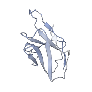 27418_8dg8_L_v1-0
Cryo-EM Structure of HPIV3 prefusion F trimer in complex with 3x1 Fab