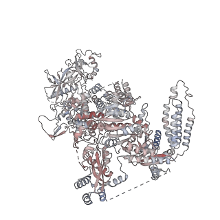 27427_8dgj_A_v1-0
Structural Basis of MicroRNA Biogenesis by Dicer-1 and Its Partner Protein Loqs-PB - complex Ib